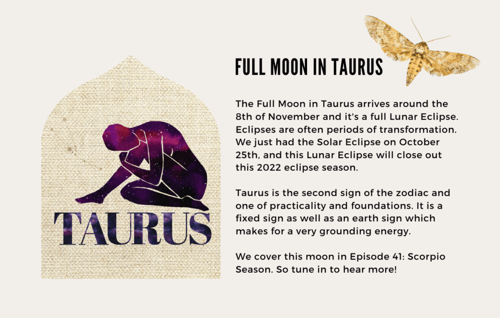 The Full Moon in Taurus arrives around the 8th of November and it's a full Lunar Eclipse. Eclipses are often periods of transformation. We just had the Solar Eclipse on October 25th, and this Lunar Eclipse will close out this 2022 eclipse season. 

Taurus is the second sign of the zodiac and one of practicality and foundations. It is a fixed sign as well as an earth sign which makes for a very grounding energy. 

We cover this moon in Episode 41: Scorpio Season. So tune in to hear more!