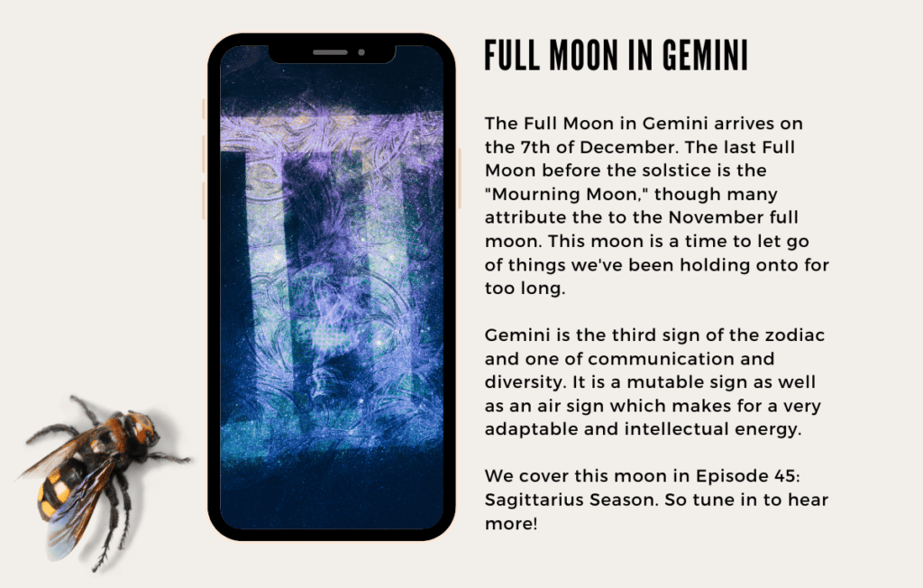 The Full Moon in Gemini arrives on the 7th of December. The last Full Moon before the solstice is the "Mourning Moon," though many attribute the to the November full moon. This moon is a time to let go of things we've been holding onto for too long.

Gemini is the third sign of the zodiac and one of communication and diversity. It is a mutable sign as well as an air sign which makes for a very adaptable and intellectual energy. 

We cover this moon in Episode 45: Sagittarius Season. So tune in to hear more!